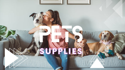 Pampered Pets: Little Luxuries That Make a Big Difference 🐾